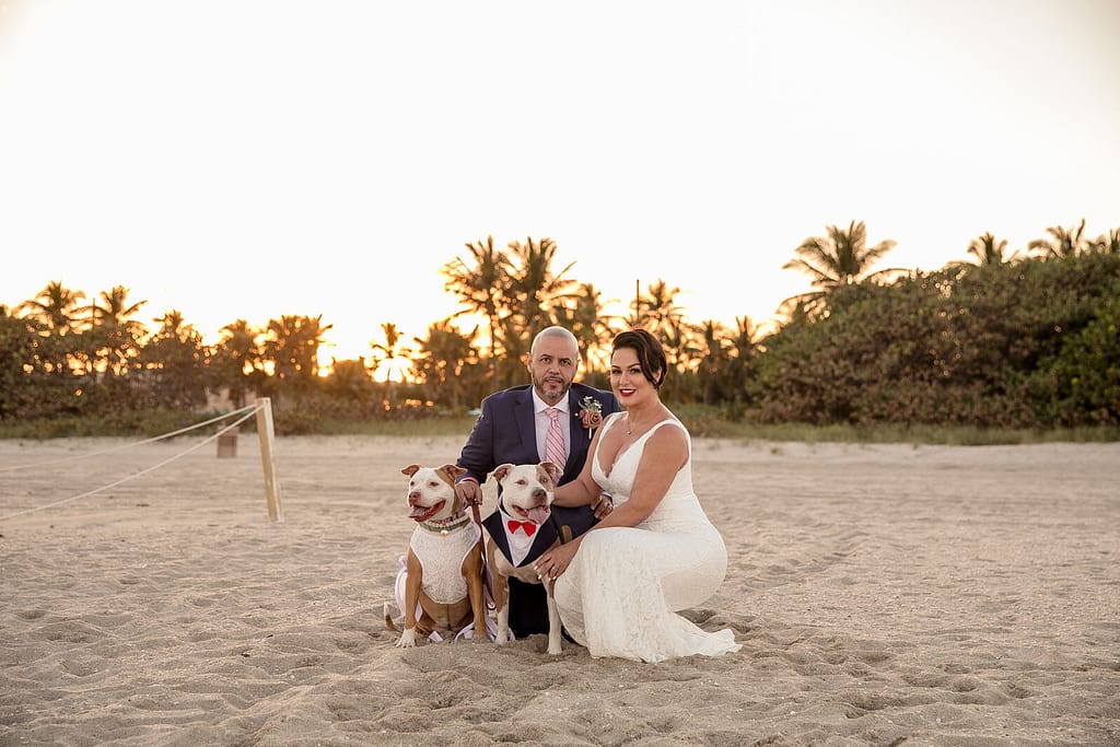 Miami Post Wedding Photoshoot 20 post wedding photo session ideas